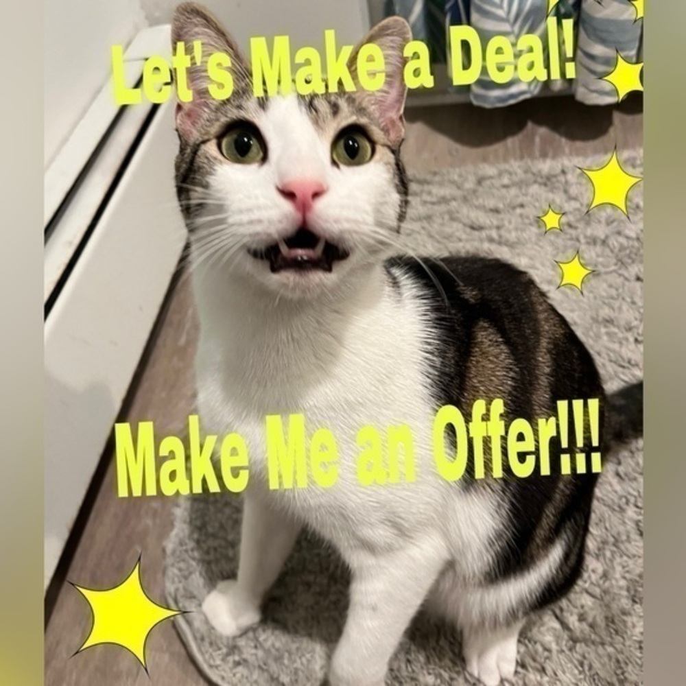 Make an Offer and Let’s Make a Deal!!!
